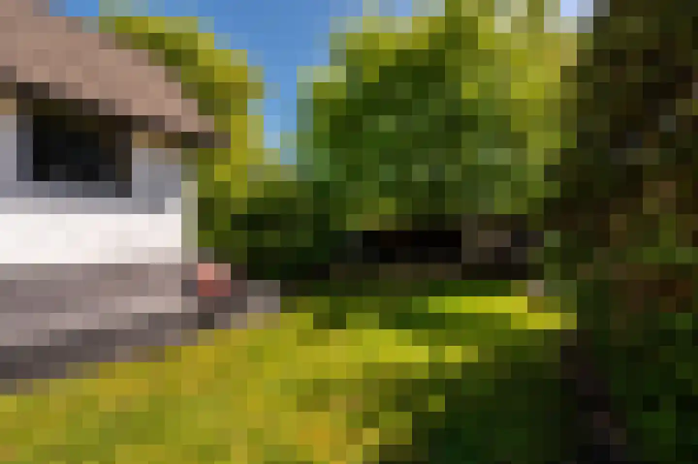 Jachtlaan 49 Apeldoorn thumbnail 40