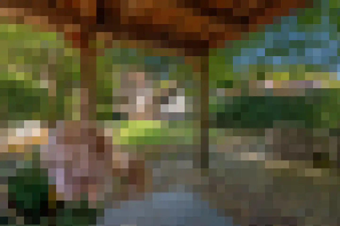 Jachtlaan 49 Apeldoorn thumbnail 41