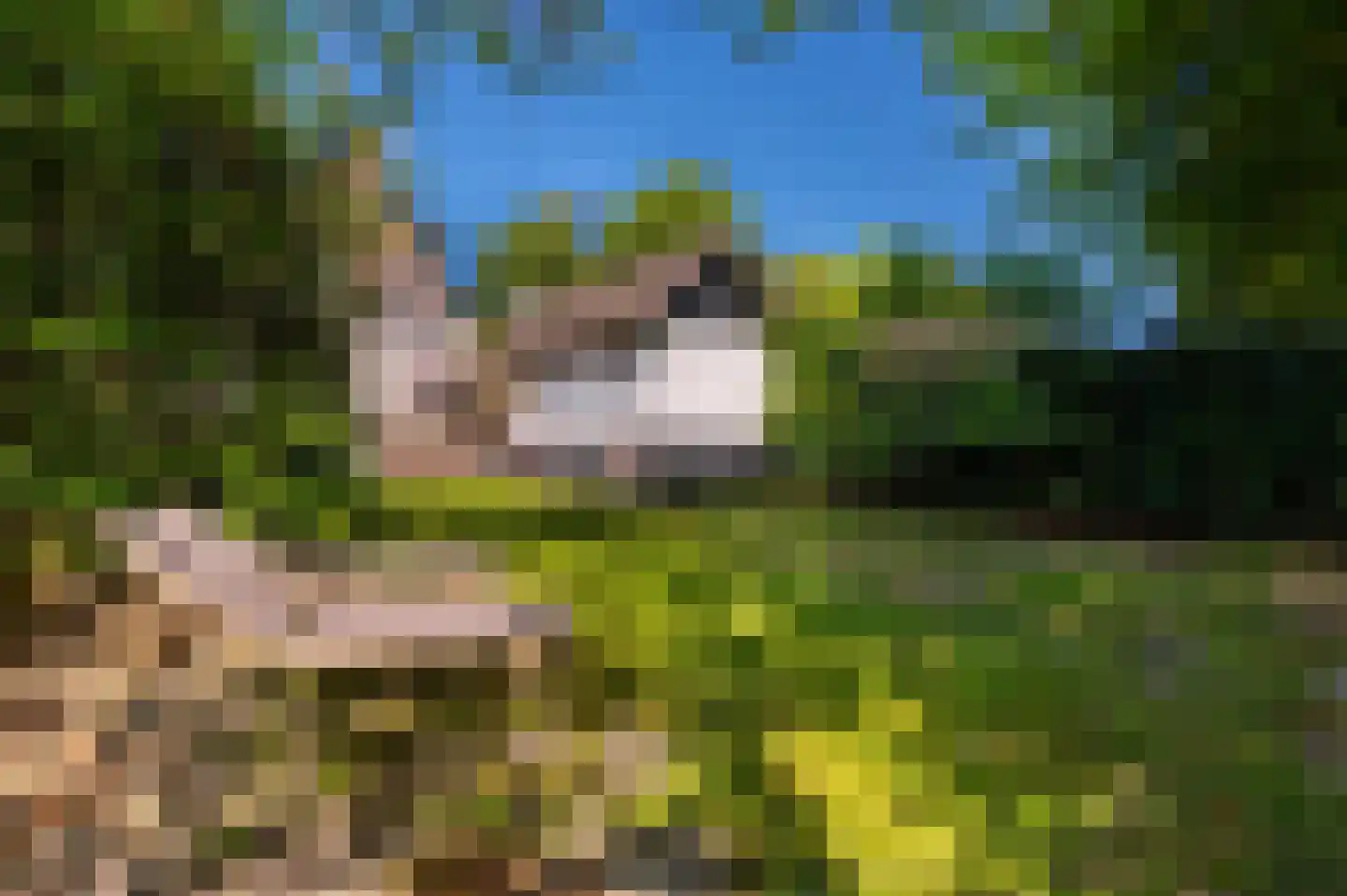 Jachtlaan 49 Apeldoorn thumbnail 42