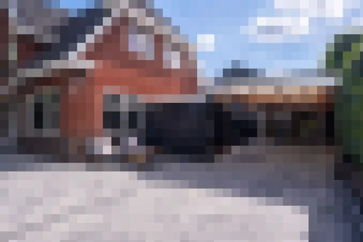 Jachtlaan 5 Haren Gn thumbnail 54