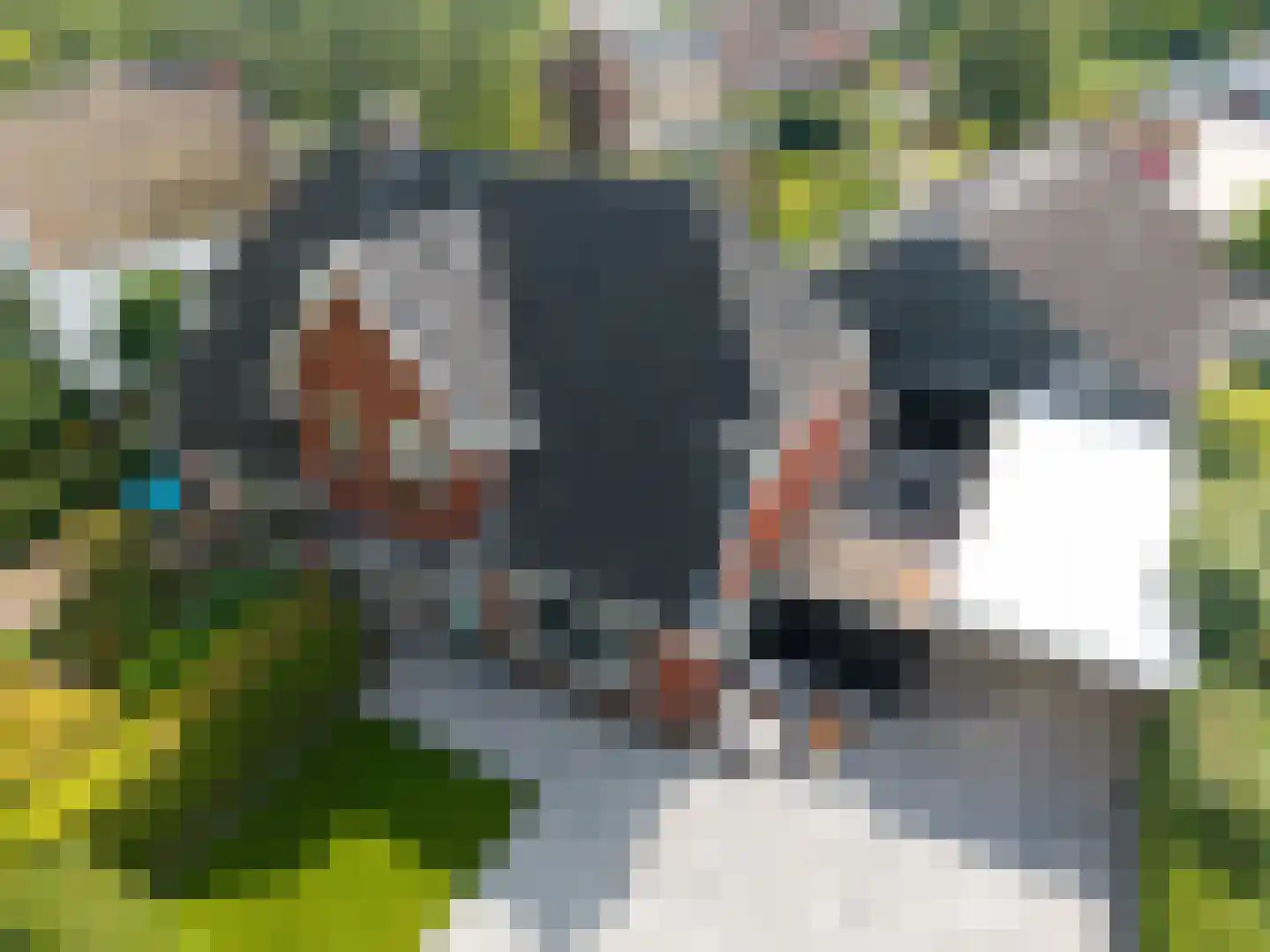 Jachtlaan 5 Haren Gn thumbnail 57