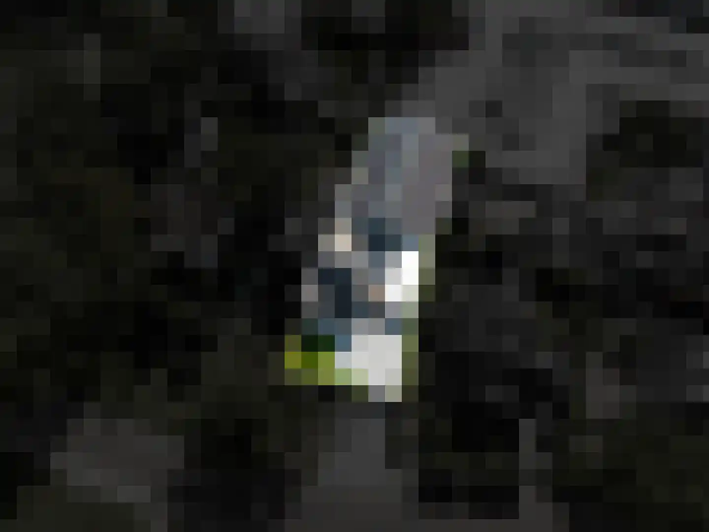 Jachtlaan 5 Haren Gn thumbnail 82