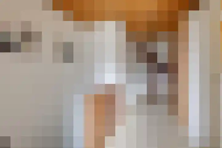 Jachtlaan 6 Rozendaal thumbnail 13
