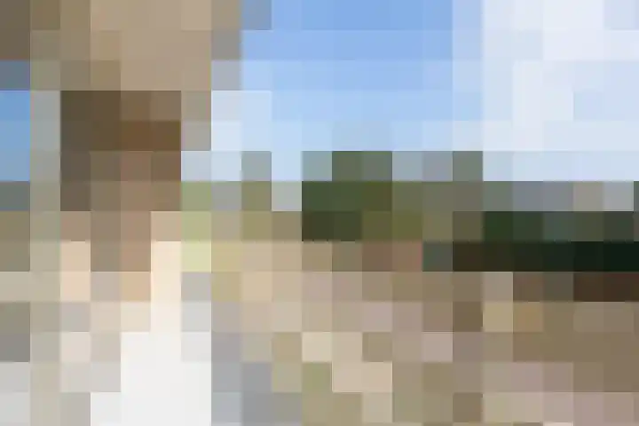 Jachtlaan 6 Rozendaal thumbnail 16