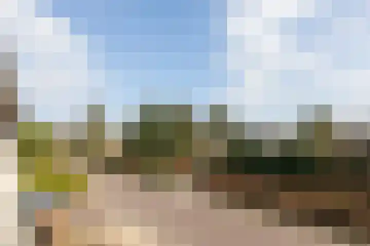 Jachtlaan 6 Rozendaal thumbnail 17