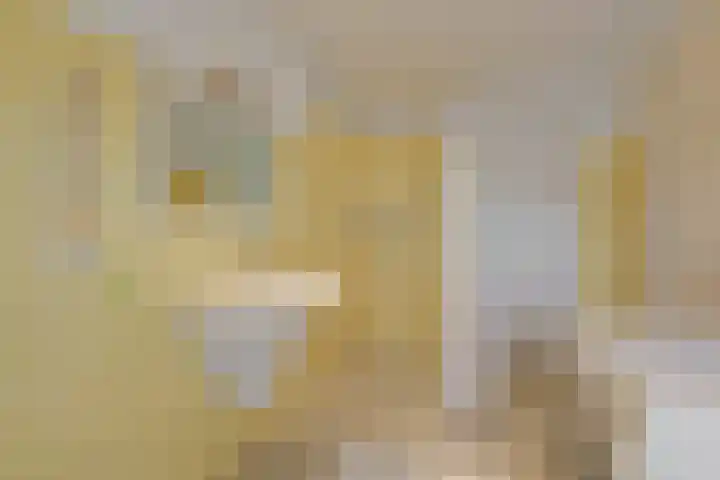 Jachtlaan 6 Rozendaal thumbnail 21