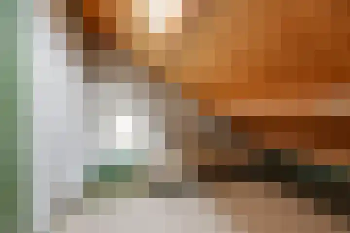 Jachtlaan 6 Rozendaal thumbnail 24