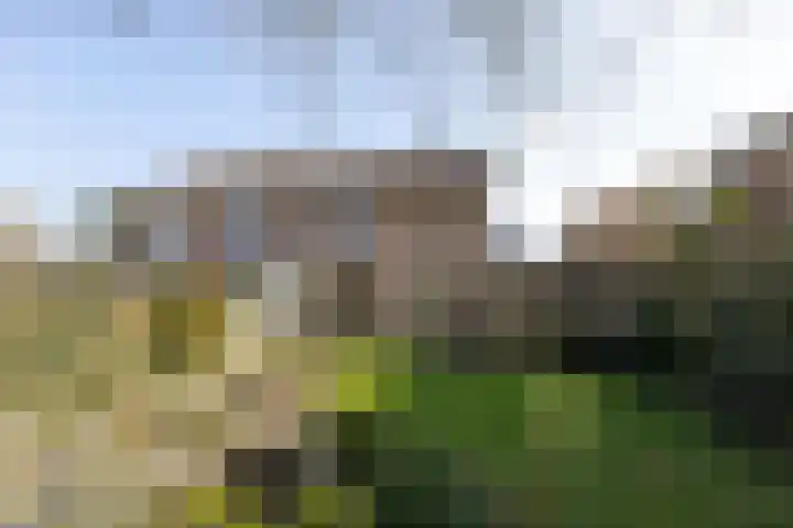 Jachtlaan 6 Rozendaal thumbnail 26