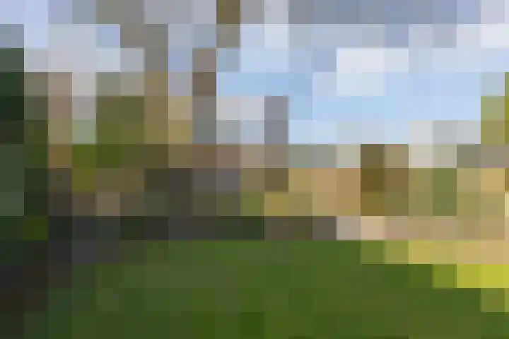 Jachtlaan 6 Rozendaal thumbnail 28