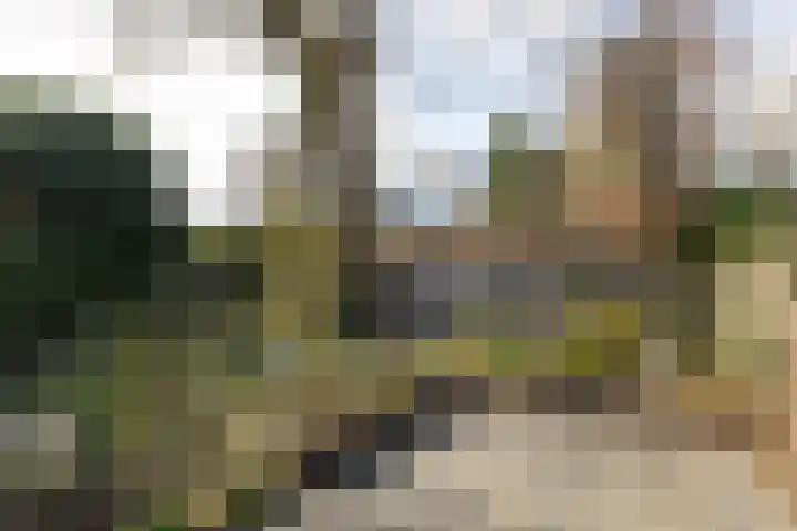 Jachtlaan 6 Rozendaal thumbnail 29