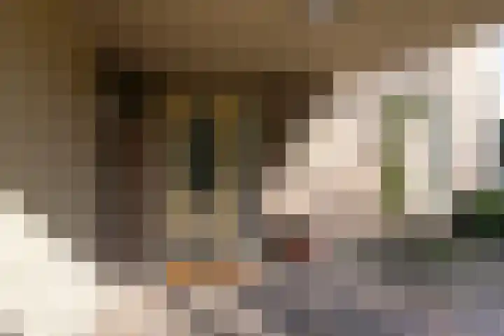 Jachtlaan 6 Rozendaal thumbnail 30