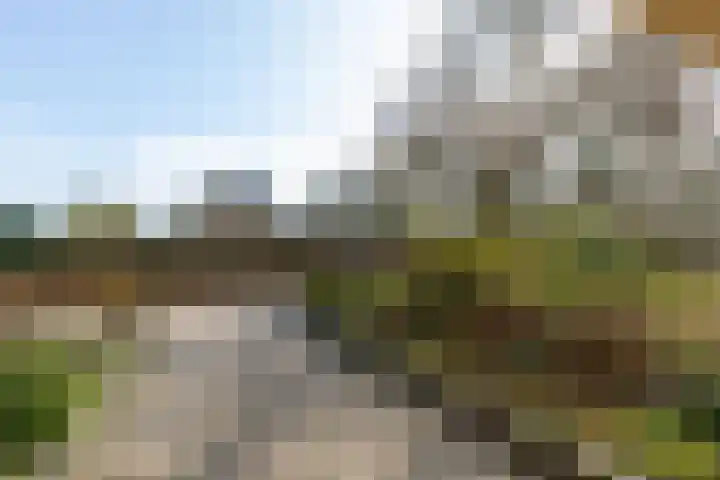 Jachtlaan 6 Rozendaal thumbnail 37