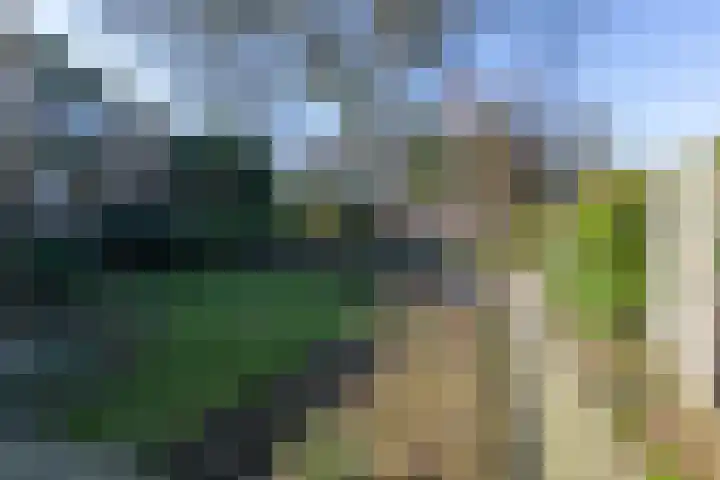 Jachtlaan 6 Rozendaal thumbnail 48