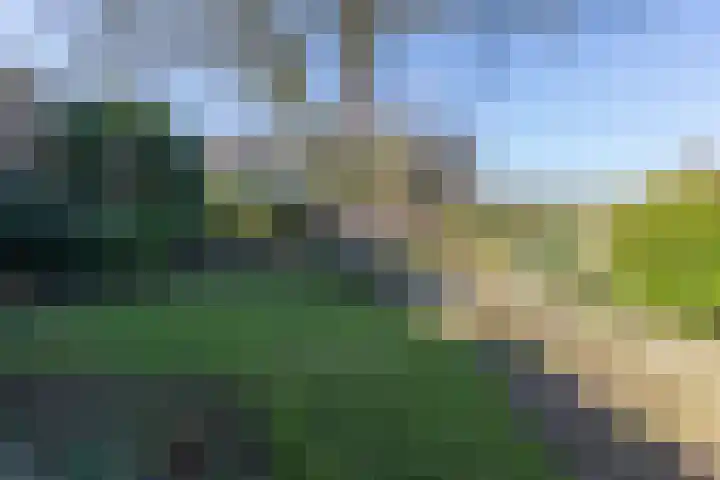 Jachtlaan 6 Rozendaal thumbnail 49