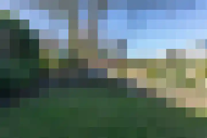 Jachtlaan 6 Rozendaal thumbnail 50