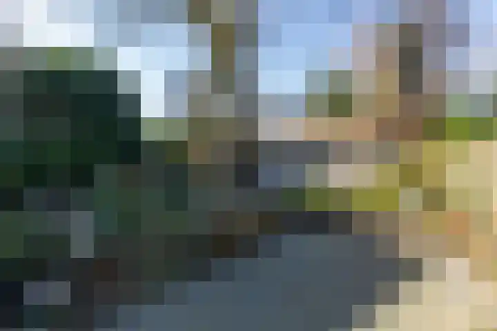 Jachtlaan 6 Rozendaal thumbnail 52