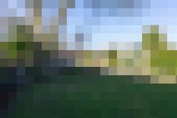 Jachtlaan 6 Rozendaal thumbnail 53