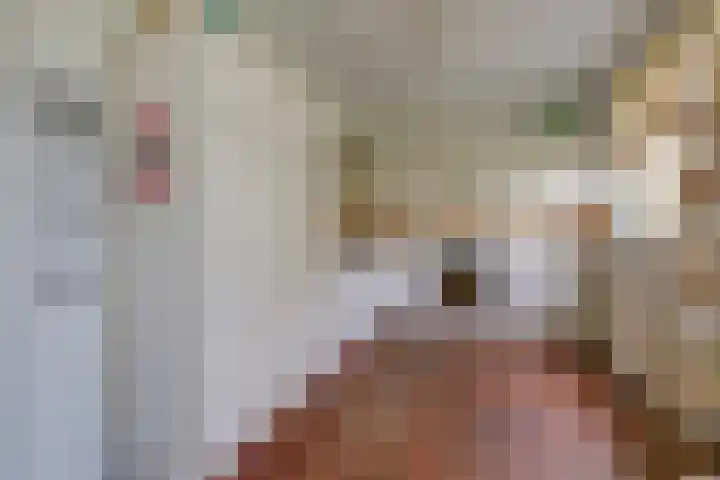 Jachtlaan 6 Rozendaal thumbnail 64