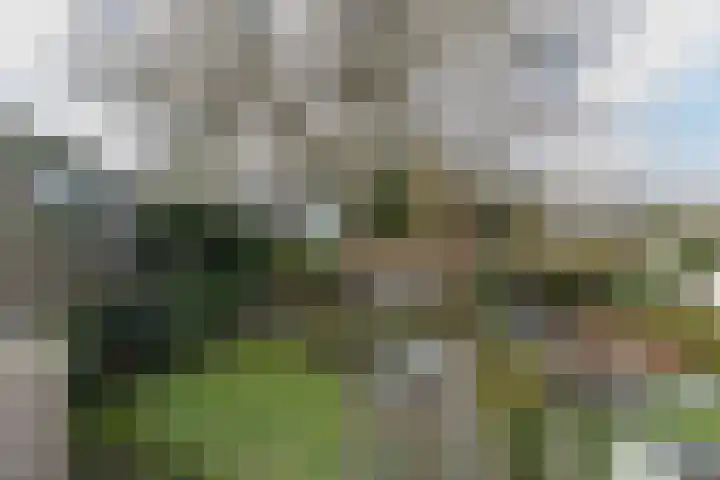 Jachtlaan 6 Rozendaal thumbnail 70