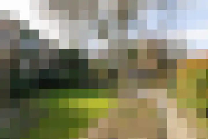 Jachtlaan 6 Rozendaal thumbnail 74