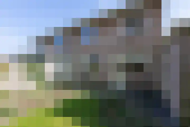 Jachtlaan 6 Rozendaal thumbnail 76