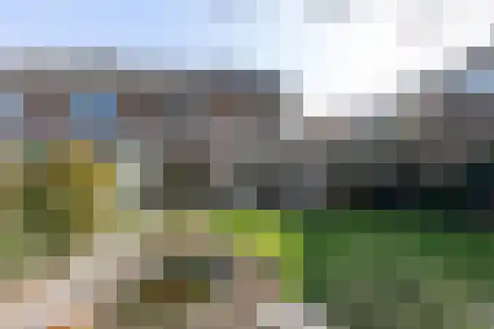 Jachtlaan 6 Rozendaal thumbnail 77