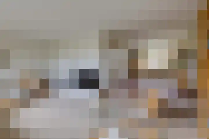 Jachtlaan 6 Rozendaal thumbnail 9