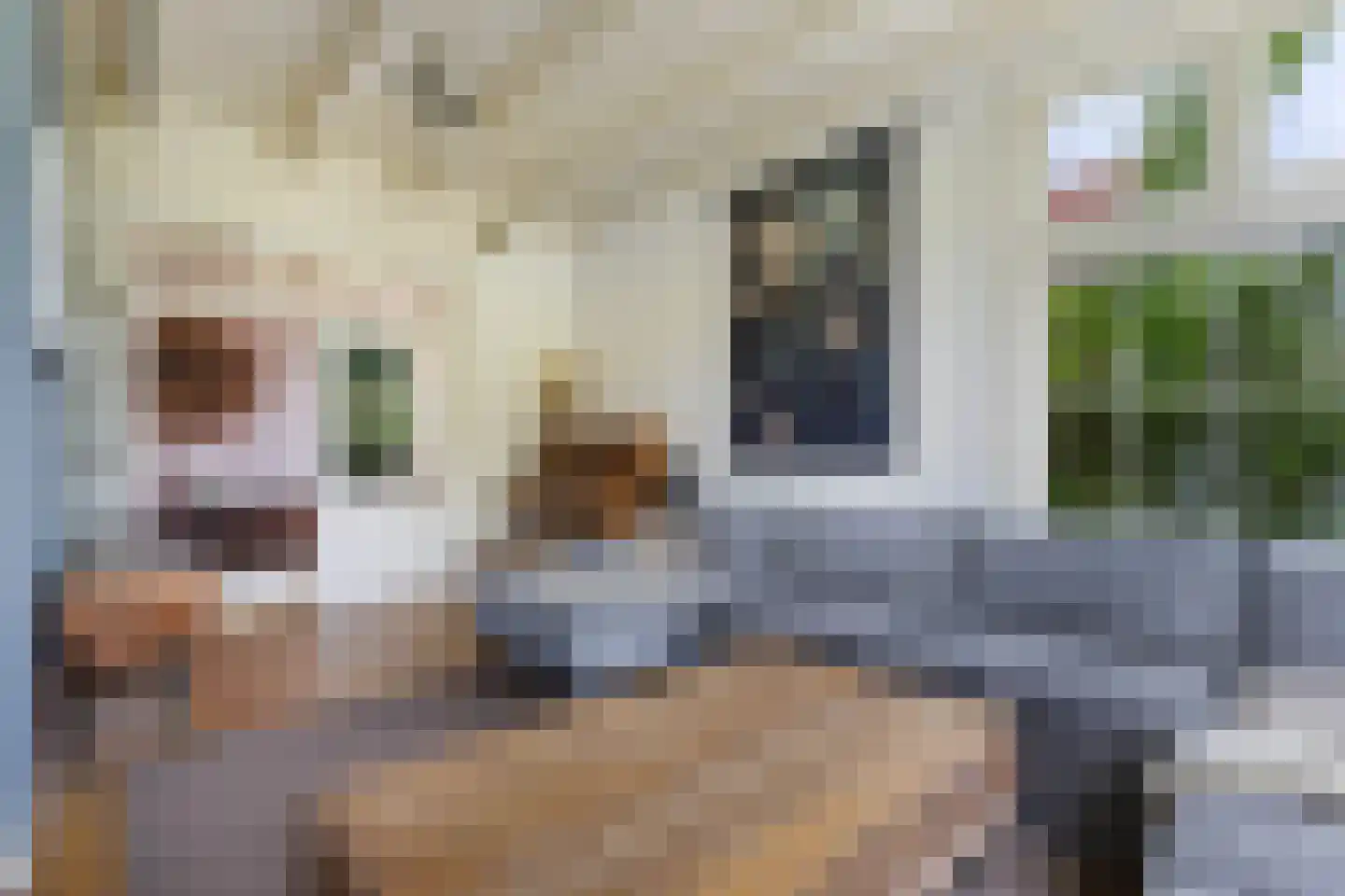 Jachtlustweg 25 Wijckel thumbnail 11