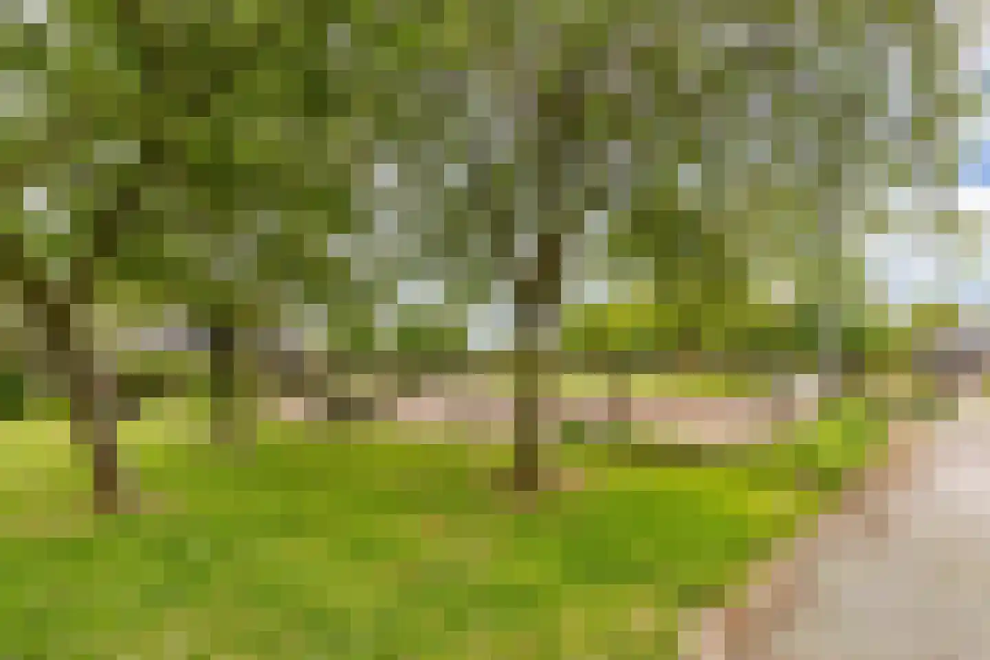 Jachtlustweg 25 Wijckel thumbnail 35