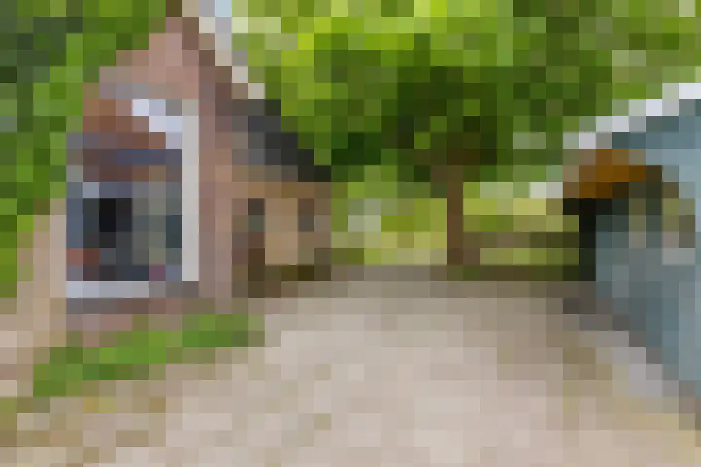Jachtlustweg 25 Wijckel thumbnail 5