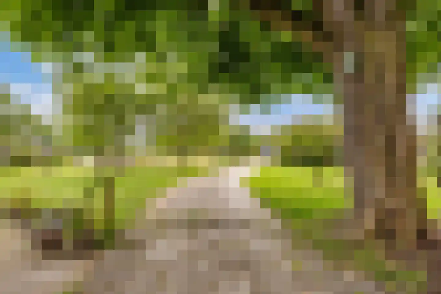 Jachtlustweg 25 Wijckel thumbnail 55