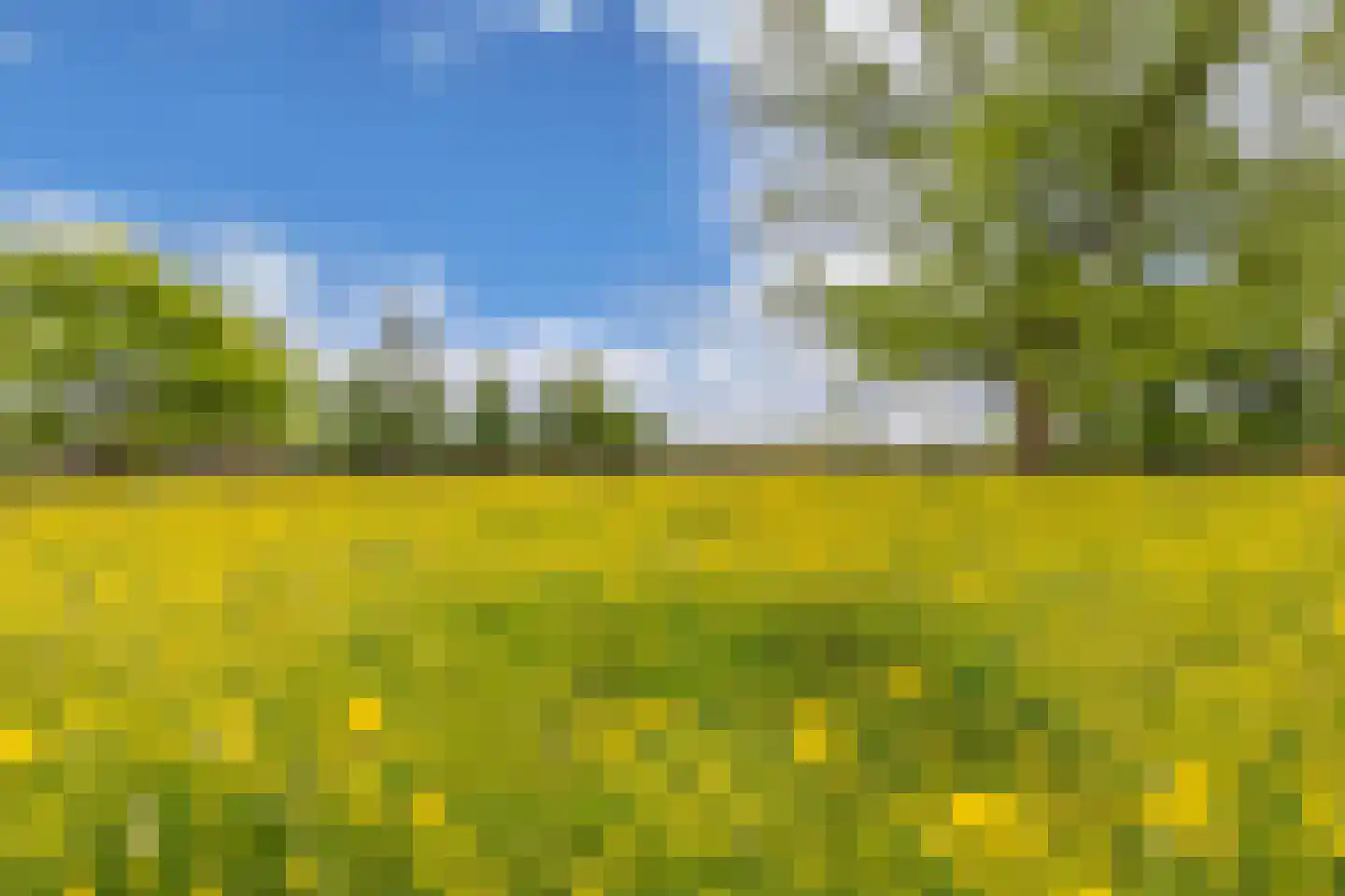 Jachtlustweg 25 Wijckel thumbnail 58