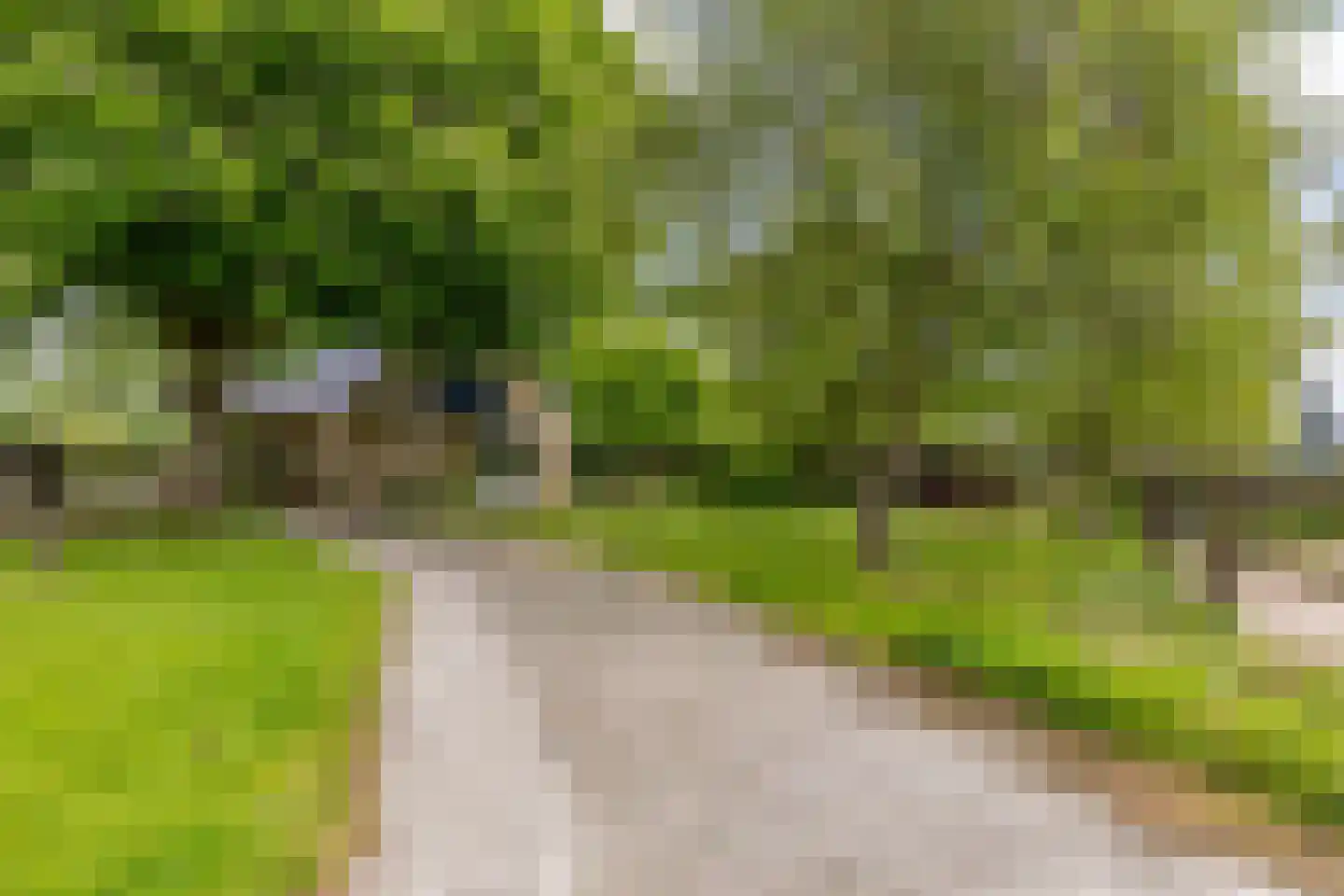 Jachtlustweg 25 Wijckel thumbnail 61