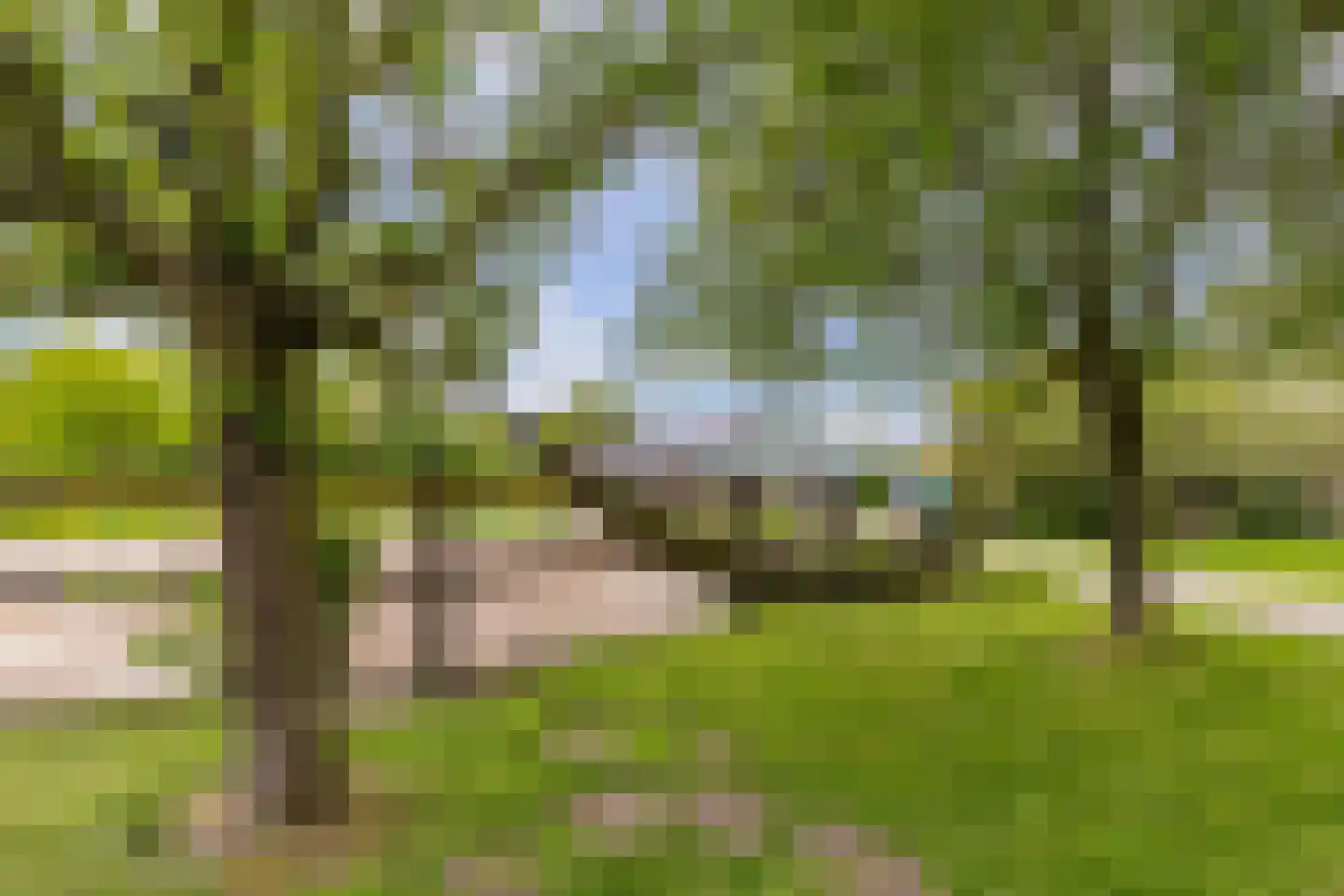 Jachtlustweg 25 Wijckel thumbnail 62