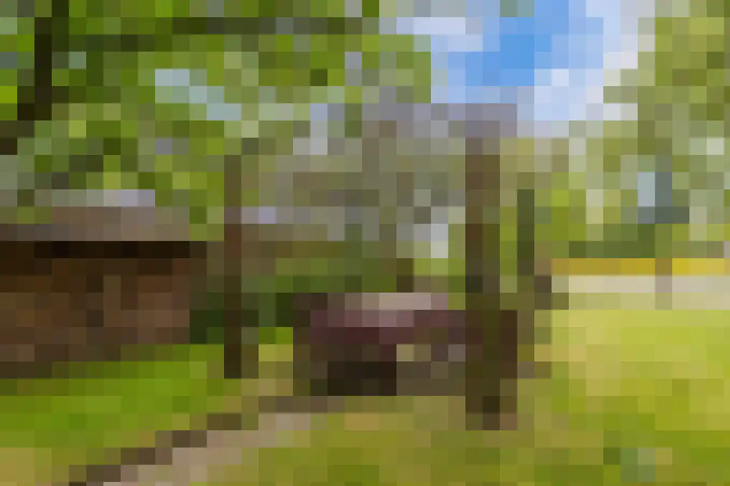Jachtlustweg 25 Wijckel thumbnail 63