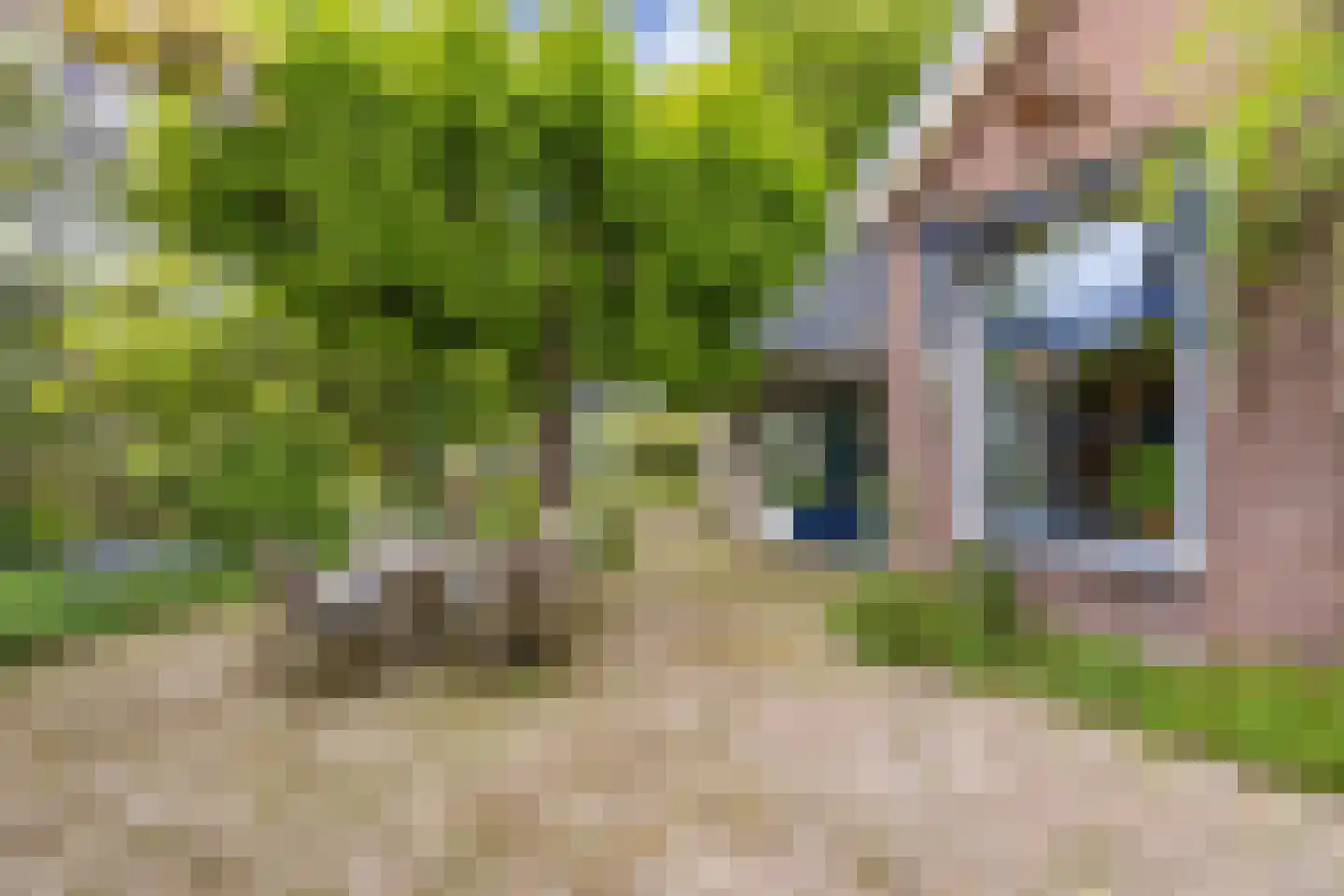 Jachtlustweg 25 Wijckel thumbnail 65