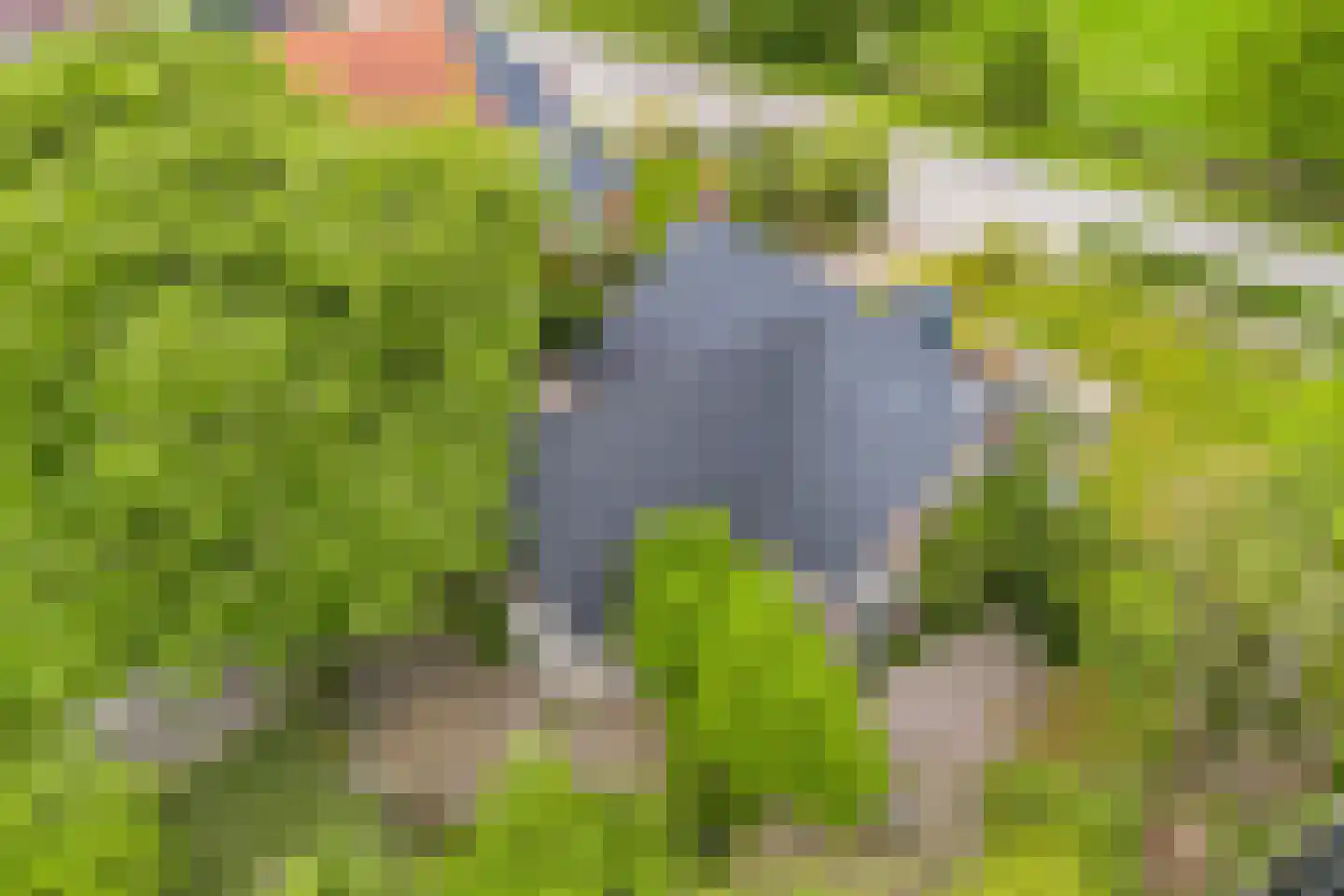 Jachtlustweg 25 Wijckel thumbnail 66