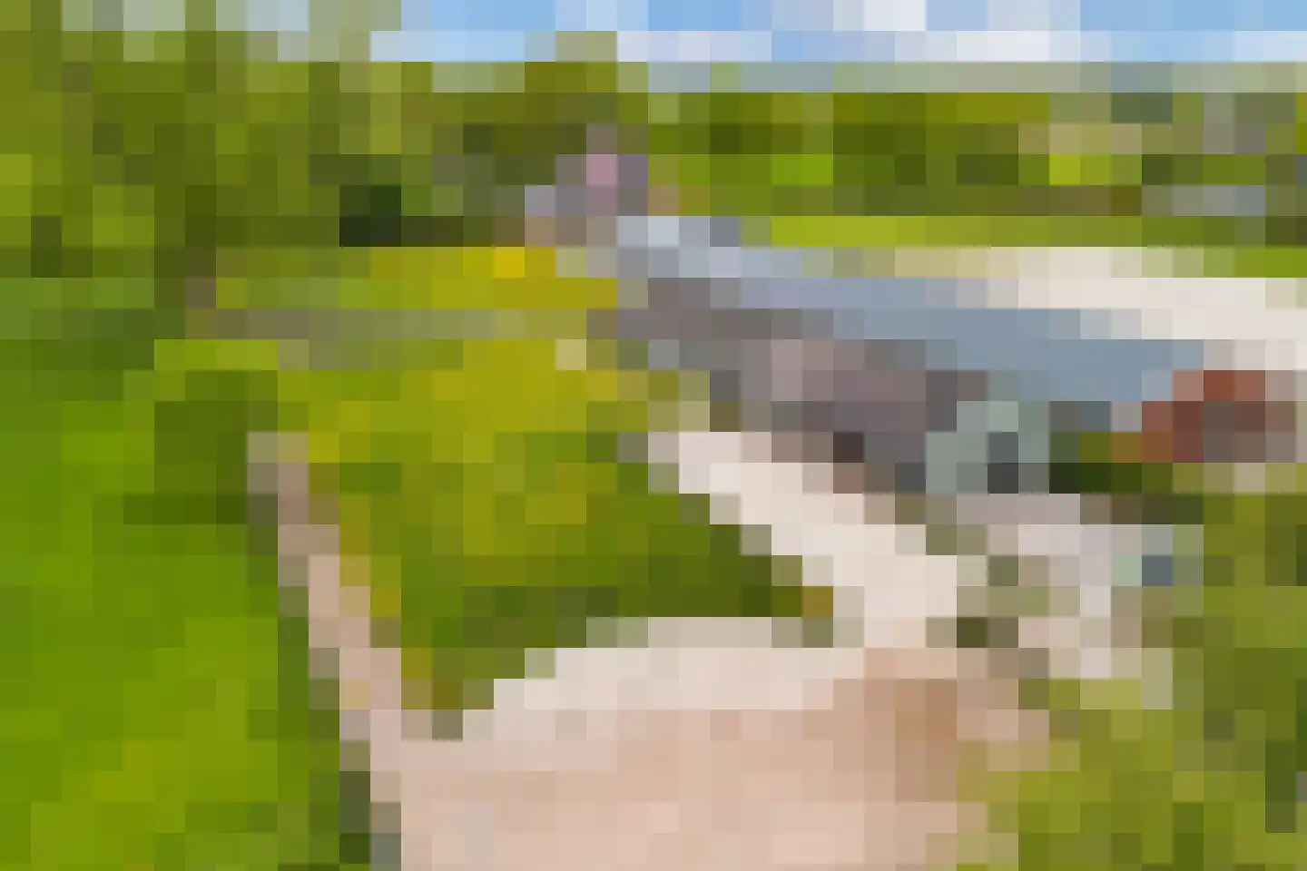 Jachtlustweg 25 Wijckel thumbnail 67