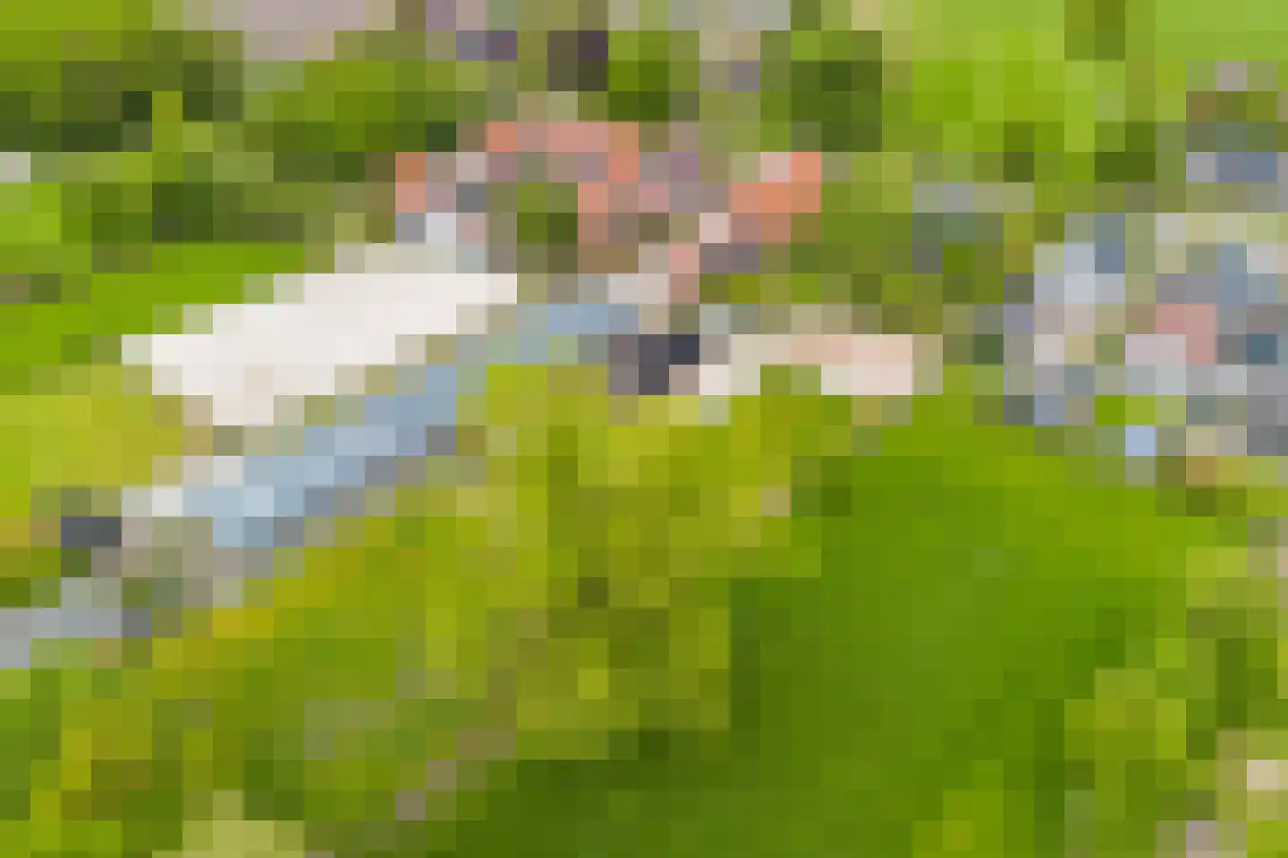 Jachtlustweg 25 Wijckel thumbnail 68
