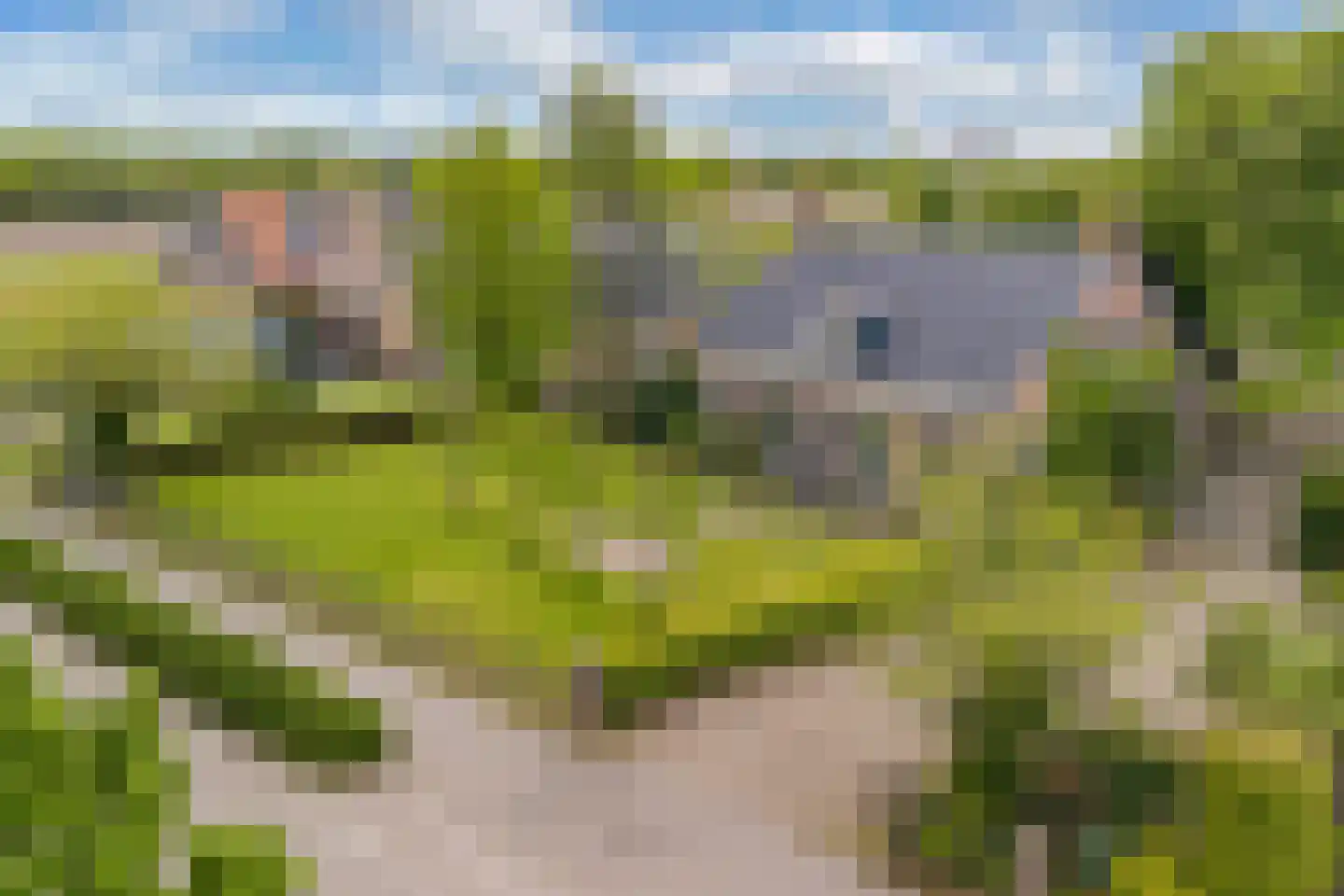 Jachtlustweg 25 Wijckel thumbnail 71