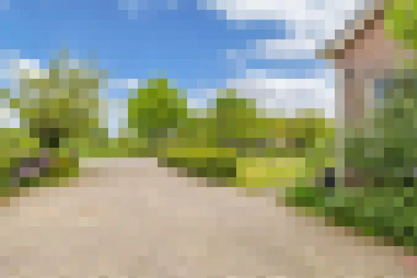 Jachtlustweg 25 Wijckel thumbnail 73