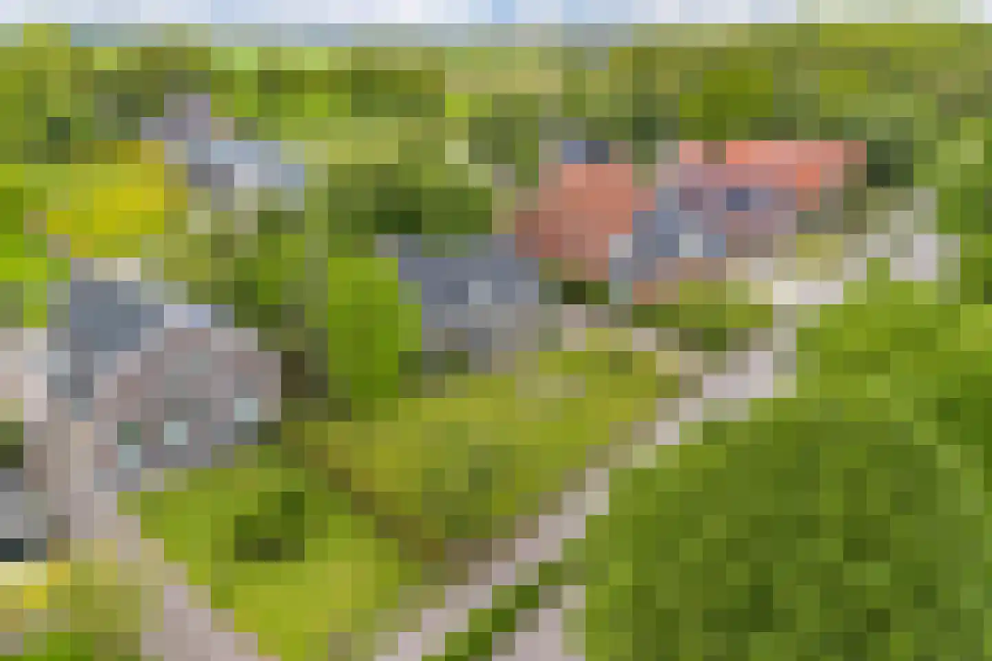 Jachtlustweg 25 Wijckel thumbnail 74