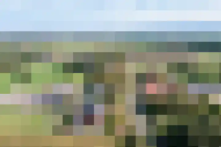 Jachtlustweg 28 Wijckel thumbnail 12