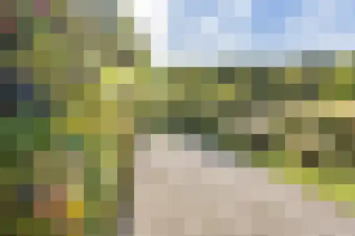 Jachtlustweg 28 Wijckel thumbnail 16