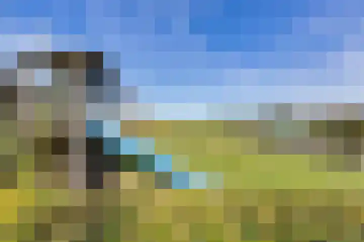 Jachtlustweg 28 Wijckel thumbnail 19