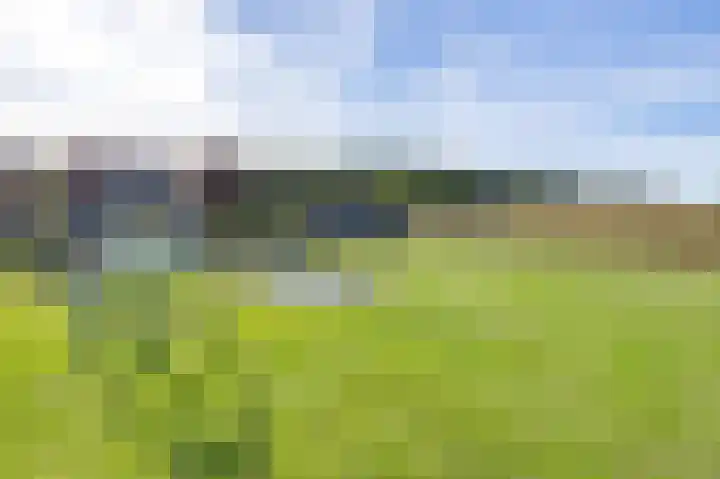 Jachtlustweg 28 Wijckel thumbnail 21