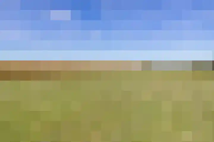 Jachtlustweg 28 Wijckel thumbnail 22