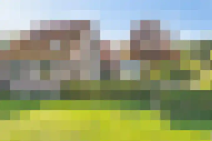 Jachtlustweg 28 Wijckel thumbnail 23