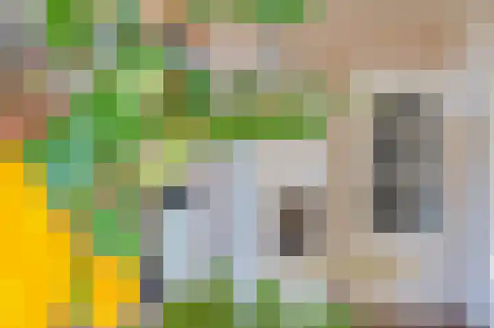 Jachtlustweg 28 Wijckel thumbnail 36
