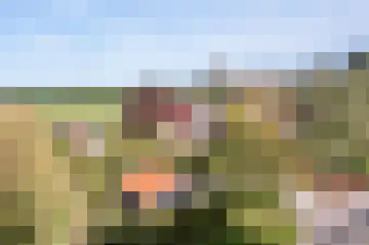 Jachtlustweg 28 Wijckel thumbnail 4